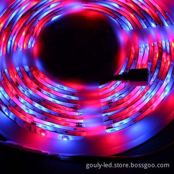 LED Strip, SMD3528, IP20, 5M/Reel